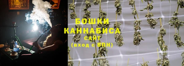 прущие грибы Магадан