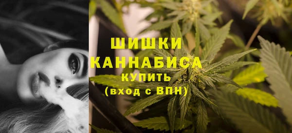 МДПВ Лиски