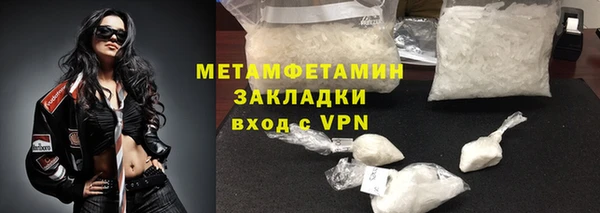 прущие грибы Магадан
