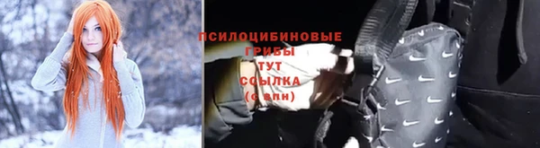 МДПВ Лиски