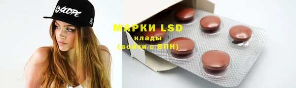прущие грибы Магадан
