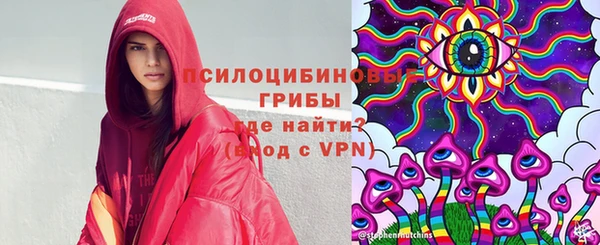 прущие грибы Магадан